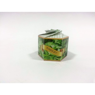 SeedGems™ Paper Planter® Parsley Herb Biodegradable Grow Kit