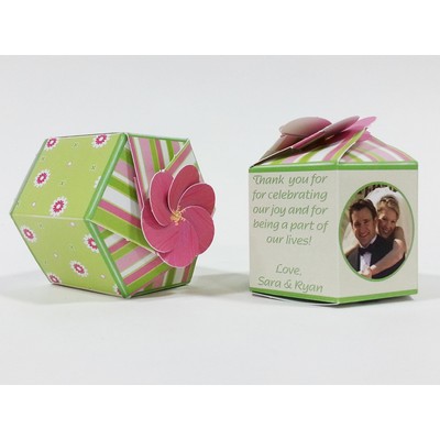 SeedGems™ Paper Planter® 'Five Spot' Houseplant Biodegradable Grow Kit